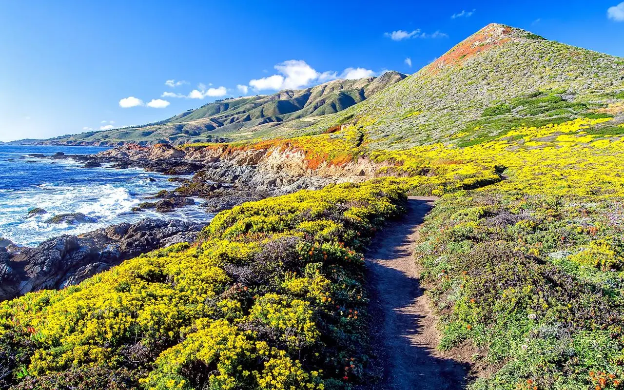 创新智能制造工业